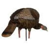 Avian-X HDR Feeding Hen Turkey Decoy -Outdoor Clothing avian x hdr feeding hen turkey decoy 1