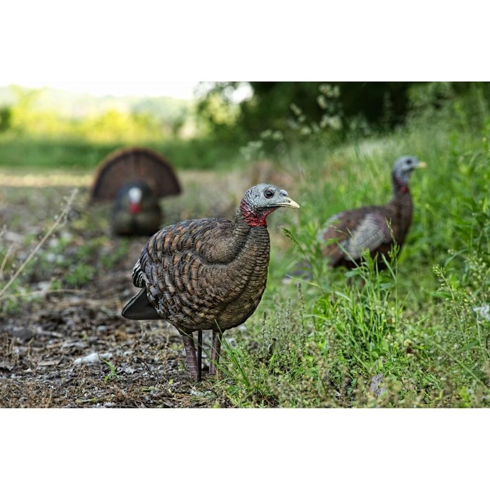 Avian-X LCD Breeder Hen Turkey Decoy 5 Avian-X LCD Breeder Hen Turkey Decoy - Image 3