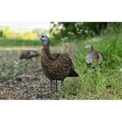 Avian-X LCD Lookout Hen Turkey Decoy 8 Avian-X LCD Lookout Hen Turkey Decoy -Outdoor Clothing avian x lcd lookout hen turkey decoy 3