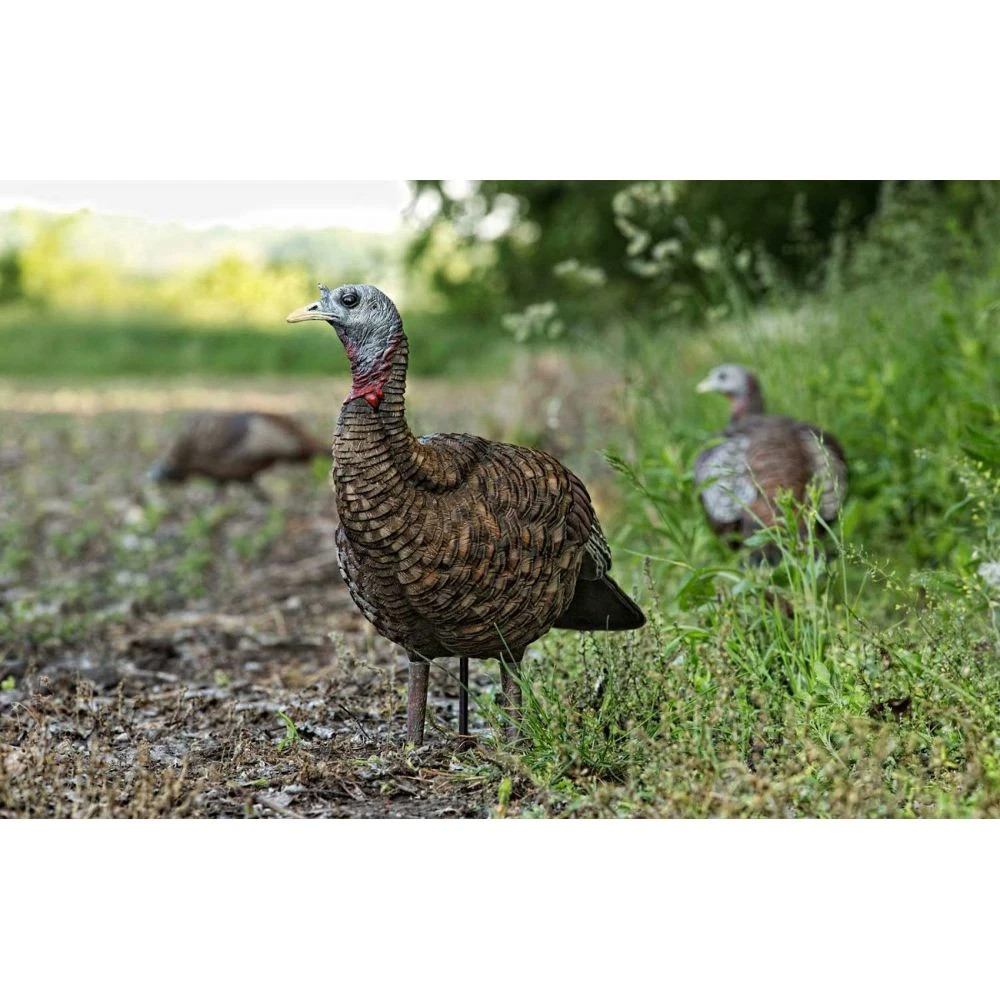 Avian-X LCD Lookout Hen Turkey Decoy 5 Avian-X LCD Lookout Hen Turkey Decoy - Image 3
