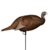 Flextone Thunder Chick Breeder Hen Turkey Decoy 2 Flextone Thunder Chick Breeder Hen Turkey Decoy -Outdoor Clothing flextone thunder chick breeder hen turkey decoy 1