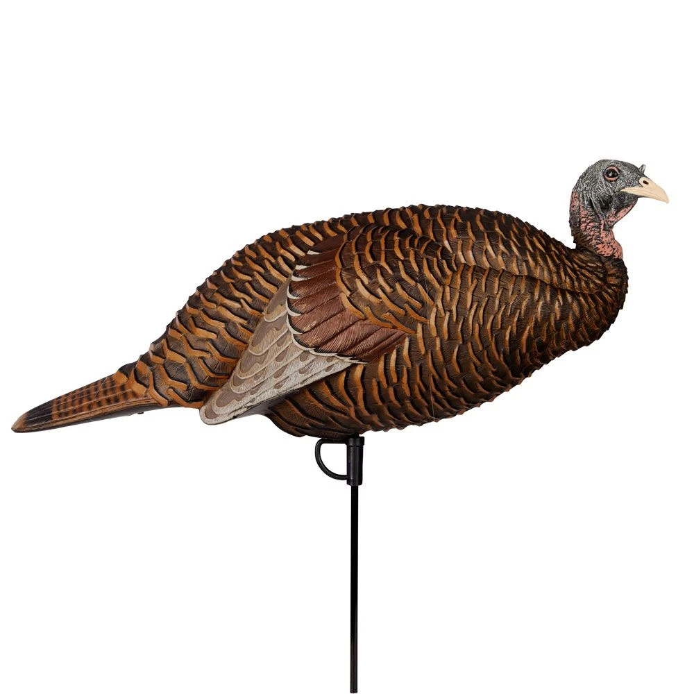Flextone Thunder Chick Breeder Hen Turkey Decoy 3 Flextone Thunder Chick Breeder Hen Turkey Decoy