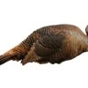 Montana Decoy Spring Fling Turkey Decoy -Outdoor Clothing montanadecoy springfling turkey decoy