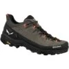 Salewa Alp Trainer 2 Men’s Shoe