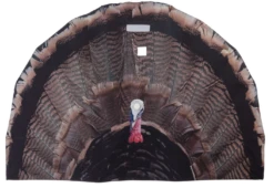 Killer Gear TurkeyFan Collapsible Turkey Decoy